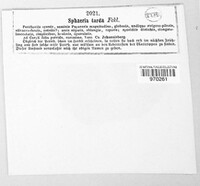 Iodosphaeria tarda image